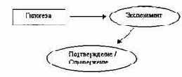 Информатика. Систематический курс