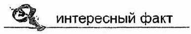 Информатика. Систематический курс