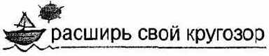 Информатика. Систематический курс