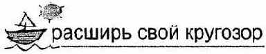 Информатика. Систематический курс