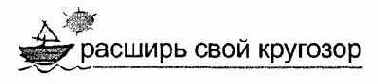 Информатика. Систематический курс