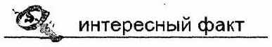 Информатика. Систематический курс