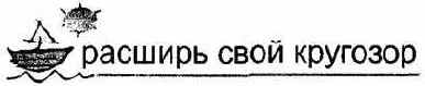 Информатика. Систематический курс