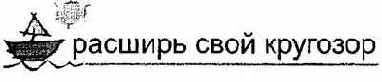 Информатика. Систематический курс