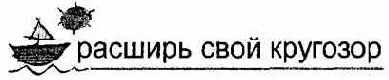 Информатика. Систематический курс