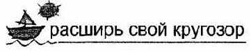 Информатика. Систематический курс